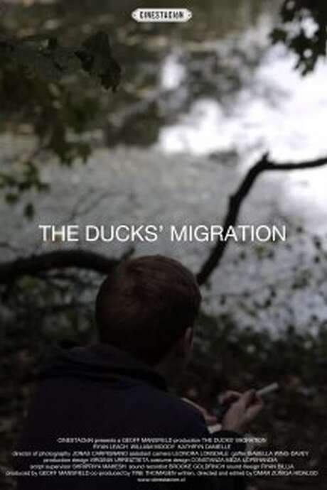 The Ducks’ Migration (2012) movie poster