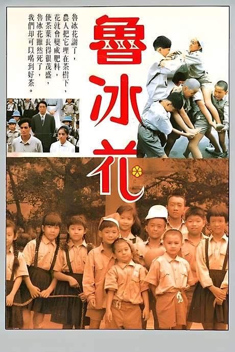 The Dull-Ice Flower (1989) movie poster