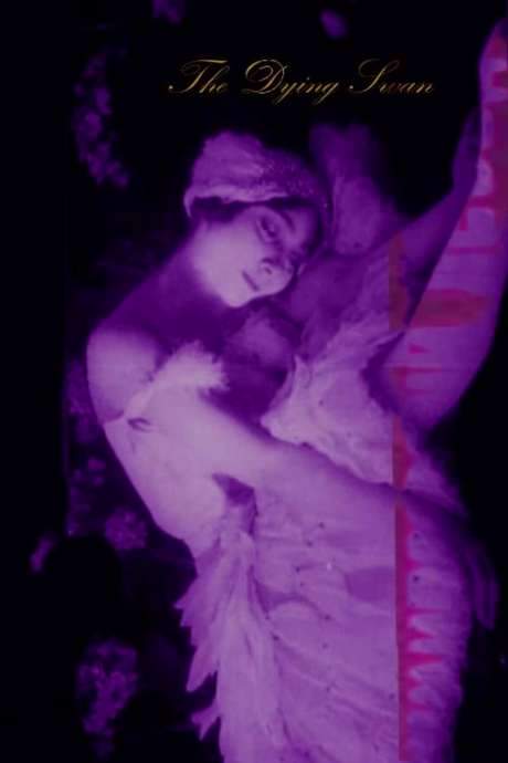 The Dying Swan (1917) movie poster