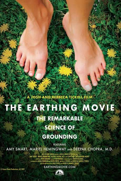 The Earthing Movie (2019) movie poster