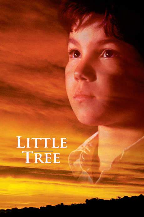 The Education of Little Tree (1997) movie poster