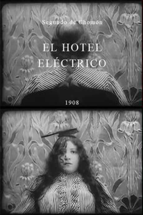 The Electric Hotel (1908) movie poster
