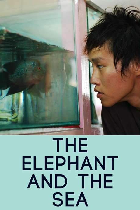 The Elephant and the Sea (2007) movie poster