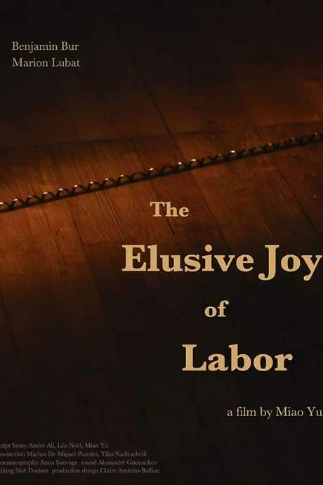 The Elusive Joy of Labor (2021) movie poster