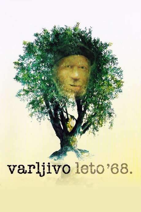 The Elusive Summer of ’68 (1984) movie poster