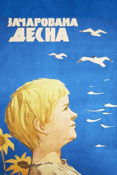 The Enchanted Desna (1964) movie poster
