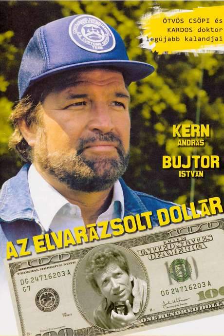 The Enchanted Dollar (1985) movie poster