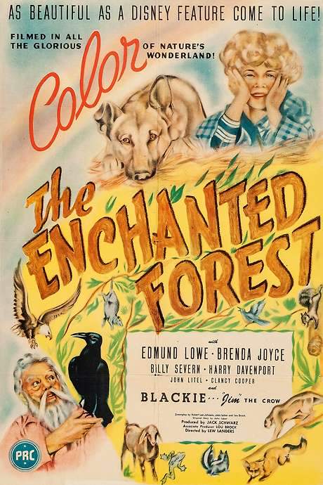 The Enchanted Forest (1945) movie poster