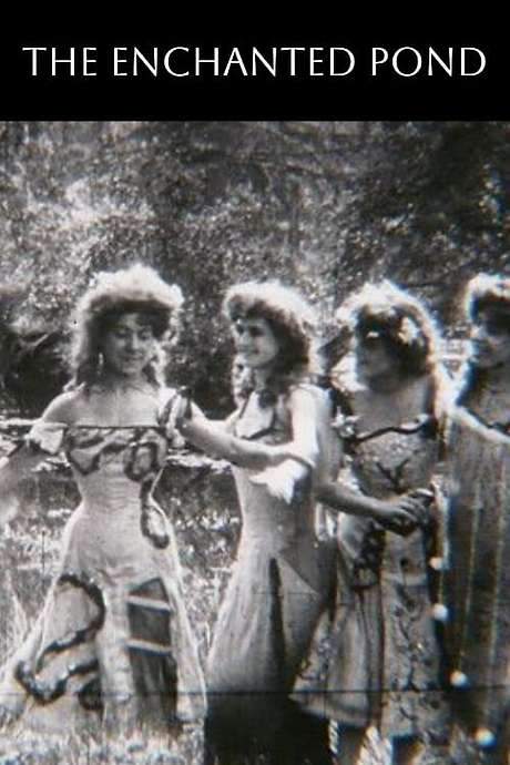 The Enchanted Pond (1907) movie poster