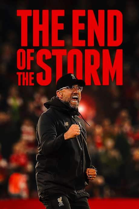 The End of the Storm (2020) movie poster