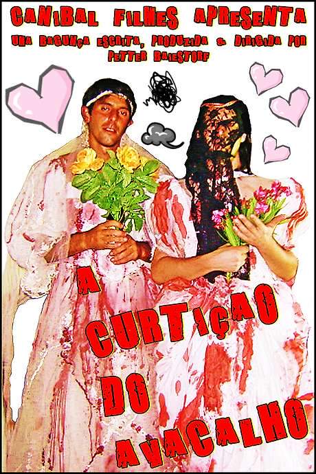 The Enjoyment of the Avacalho (2006) movie poster