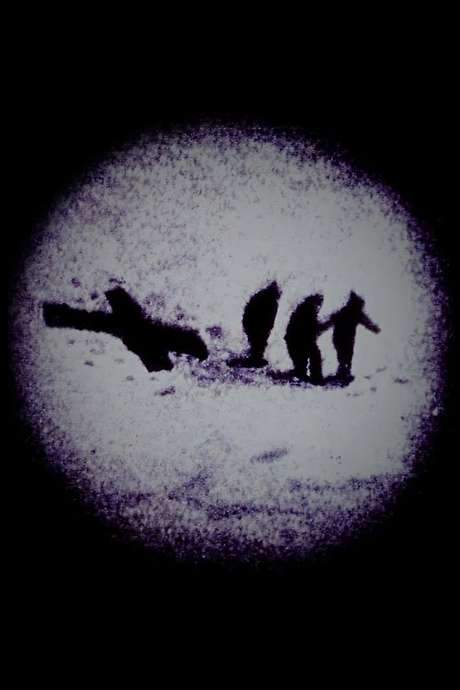 The Everest Discrepancy (2021) movie poster