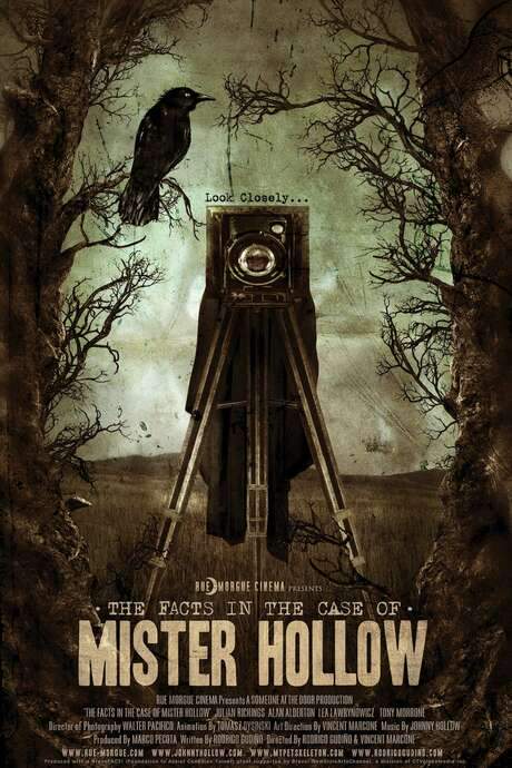 The Facts in the Case of Mister Hollow (2008) movie poster