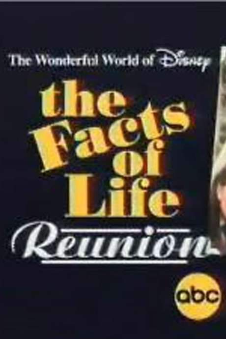 The Facts of Life Reunion (2001) movie poster