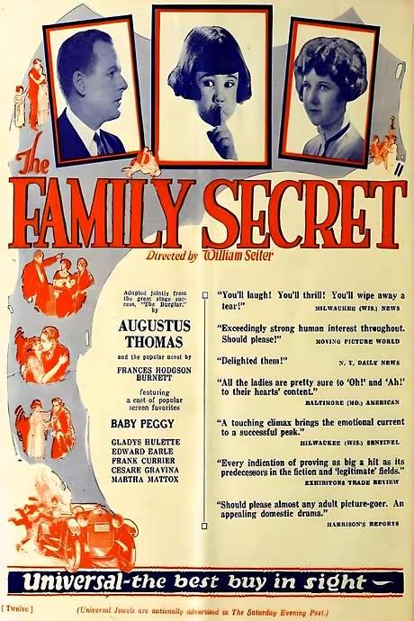 The Family Secret (1924) movie poster
