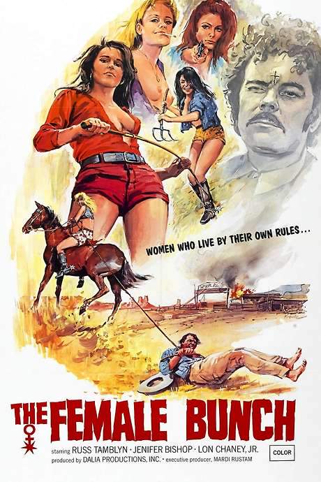 The Female Bunch (1971) movie poster