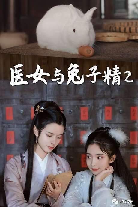 The Female Doctor and The Rabbit Spirit (2020) movie poster