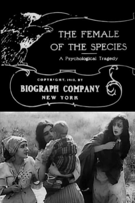 The Female of the Species (1912) movie poster
