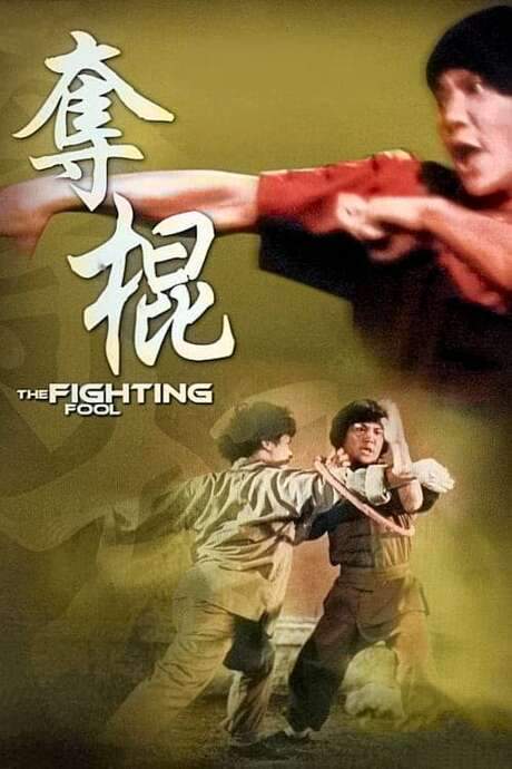 The Fighting Fool (1979) movie poster
