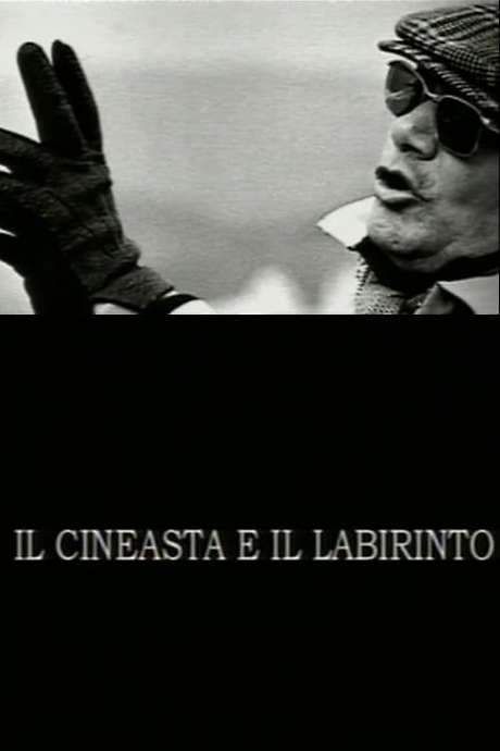 The Filmmaker and the Labyrinth (2004) movie poster