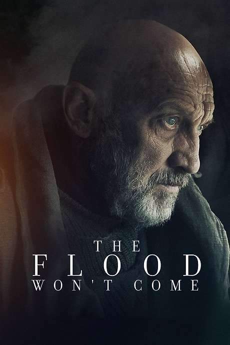 The Flood Won’t Come (2020) movie poster