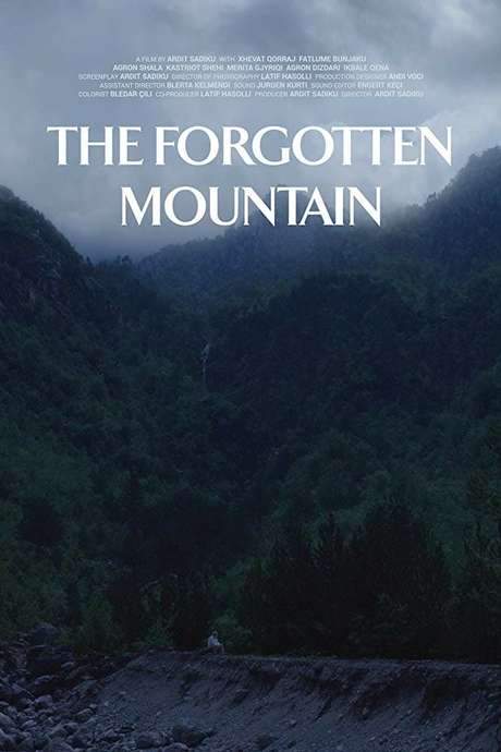 The Forgotten Mountain (2018) movie poster