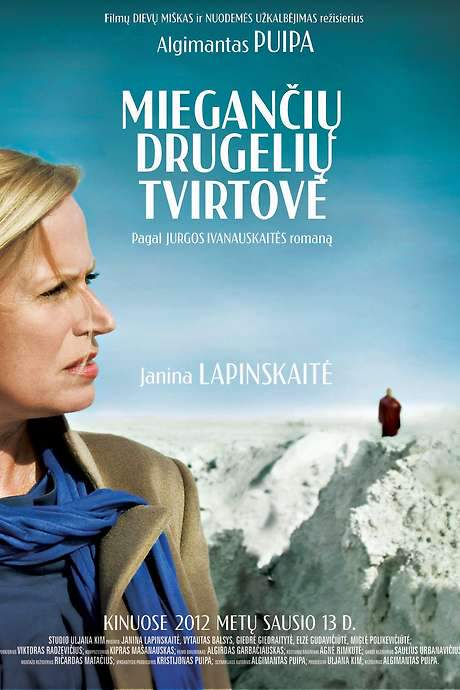 The Fortress of Sleeping Butterflies (2012) movie poster
