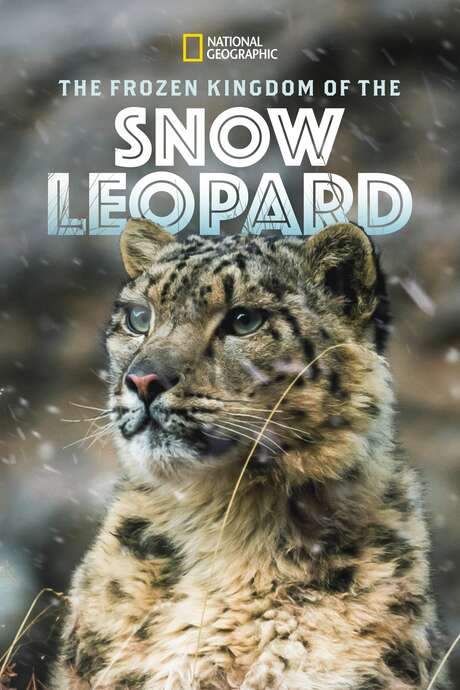 The Frozen Kingdom of the Snow Leopard (2020) movie poster
