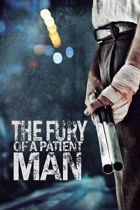 The Fury of a Patient Man (2016) movie poster