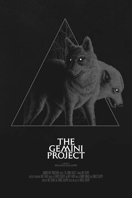 The Gemini Project (2020) movie poster