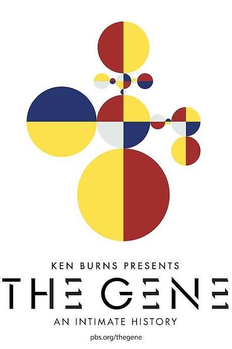 The Gene: An Intimate History (2020) movie poster