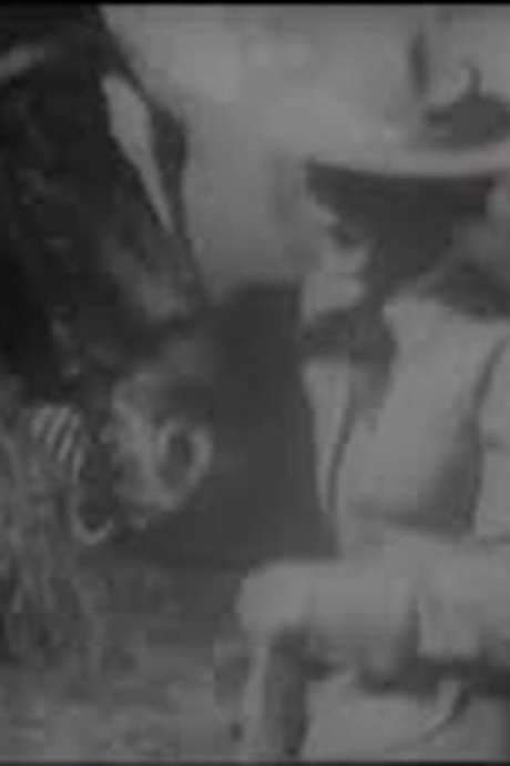 The Girl from Montana (1907) movie poster