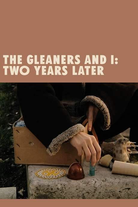 The Gleaners and I: Two Years Later (2002) movie poster