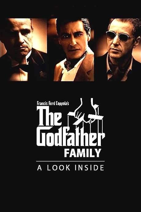 The Godfather Family: A Look Inside (1990) movie poster