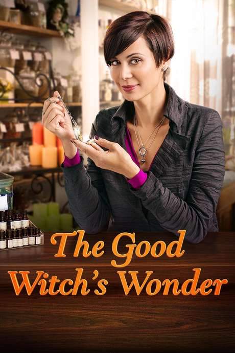 The Good Witch’s Wonder (2014) movie poster