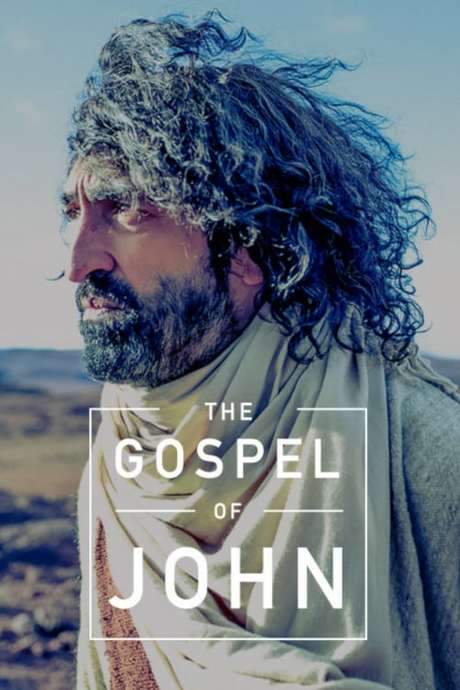 The Gospel of John (2014) movie poster