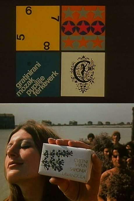 The Gratinated Brains of Pupilija Ferkeverk (1970) movie poster