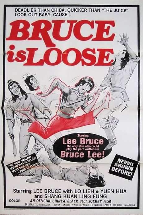 The Green Dragon Inn (1977) movie poster
