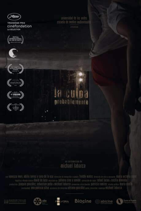 The Guilt, Probably (2016) movie poster