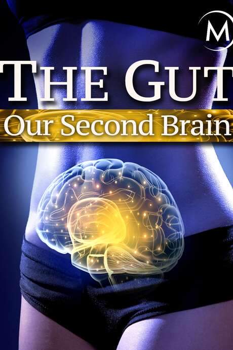 The Gut: Our Second Brain (2014) movie poster