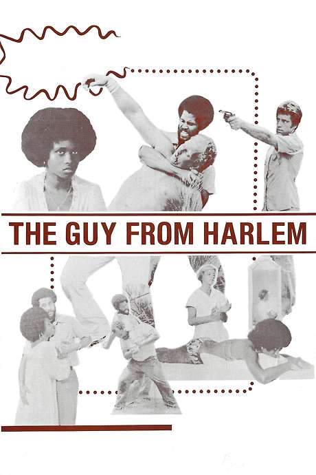The Guy from Harlem (1977) movie poster