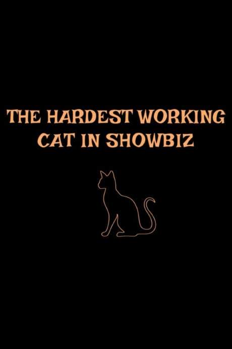 The Hardest Working Cat in Showbiz (2020) movie poster