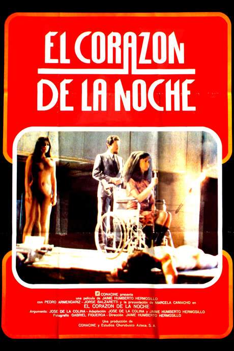 The Heart of the Night (1984) movie poster