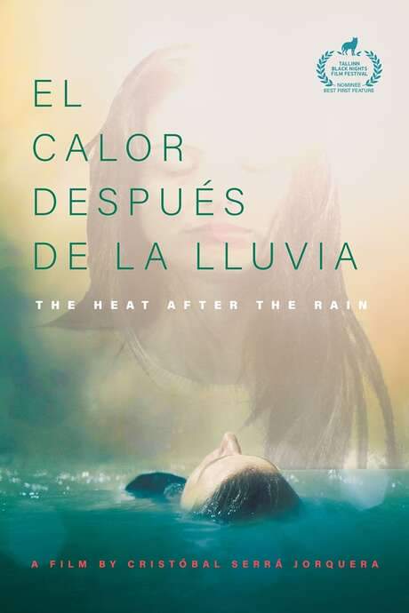 The Heat After the Rain (2016) movie poster