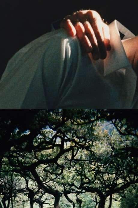 The Hedge Theater (2002) movie poster