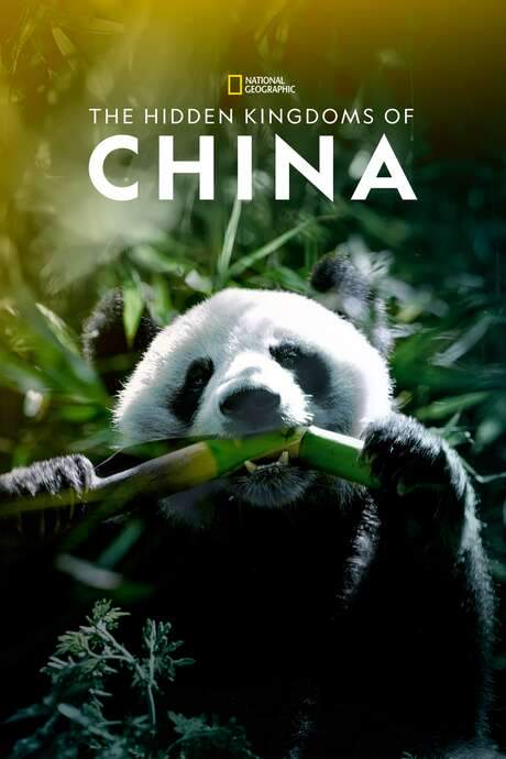 The Hidden Kingdoms of China (2020) movie poster