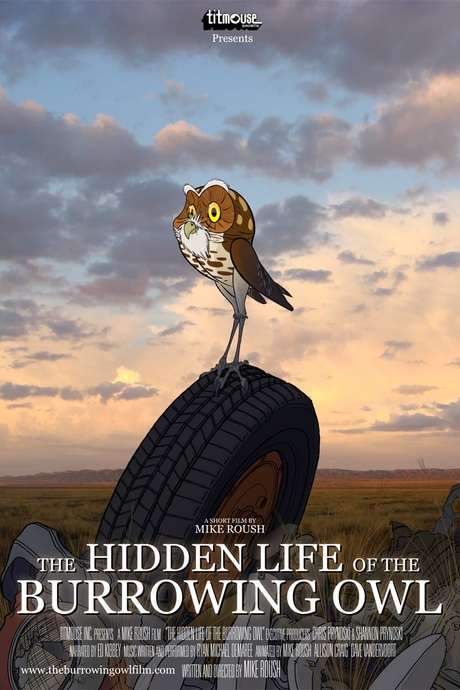 The Hidden Life of the Burrowing Owl (2008) movie poster