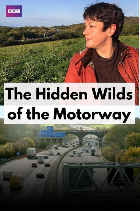 The Hidden Wilds of the Motorway (2020) movie poster