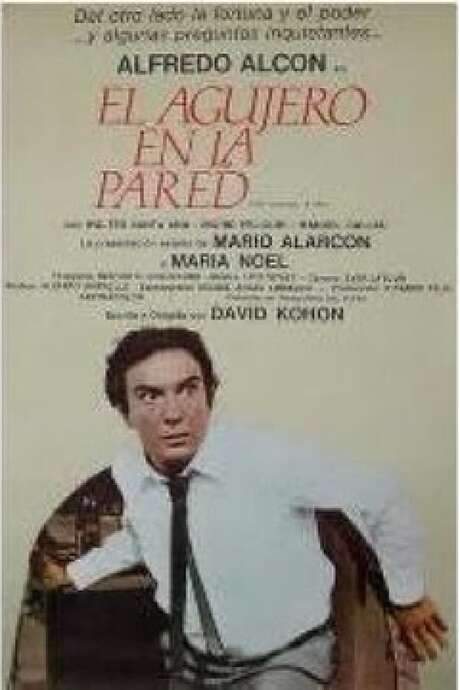 The Hole in the Wall (1982) movie poster