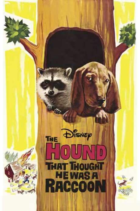 The Hound That Thought He Was a Raccoon (1960) movie poster